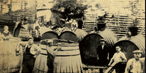 old vine barrels pics